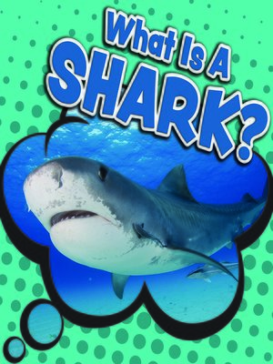 cover image of What Is a Shark?